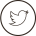 Twitter Profile