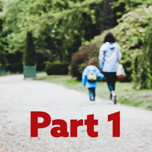 A Guide to Getting Divorced with Young Children Part 1: What orders can the Court make? 12