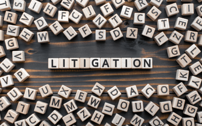 Top Things You Need To Know About The Litigation Process 1 Top Things You Need To Know About The Litigation Process 1