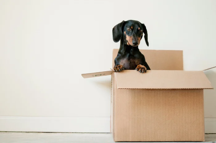 Everything You Need to Know About Conveyancing When Moving House 1 Everything You Need to Know About Conveyancing When Moving House 1